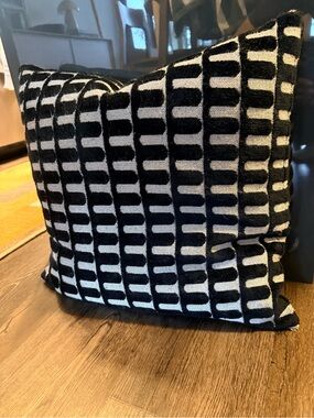 WEST ELM - Cut Velvet Archways Throw Pillow (20x20”)